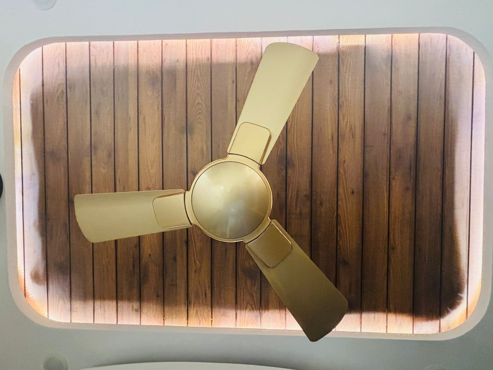 WhatsApp Image 2024-04-29 at 5.23.07 PM